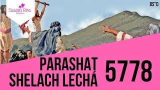 Parashá Shelach Lechá 5778