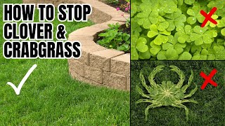 How To Have A PERFECT LAWN | Get Rid Of CLOVER CRABGRASS AND 40 TYPES OF LAWN WEEDS