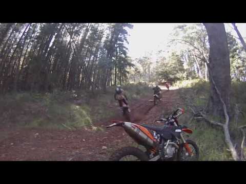 River To Ridge Adventure Tours High Country Adventure to Dargo October 2016