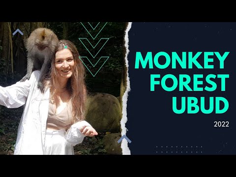 SLOWLY GETTING BUSY AT MONKEY FOREST UBUD