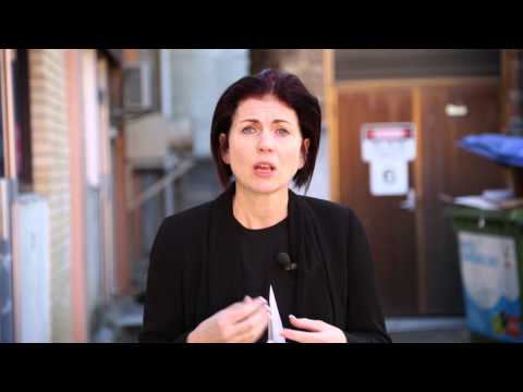 1.3 プロのプロファイラーは良いのか？ (1.3 Are Professional Profilers Better?)