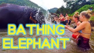 preview picture of video 'อาบน้ำช้าง Bathing Elephant'