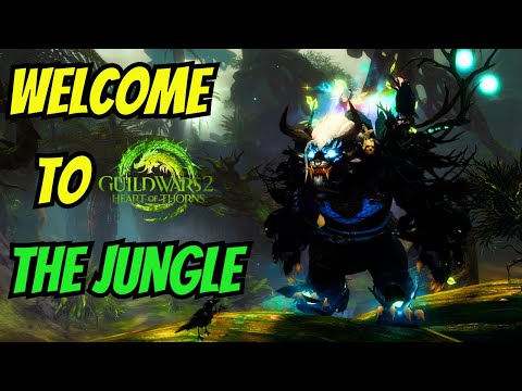 NEW PLAYER TIPS For Guild Wars 2  Heart of Thorns Maps