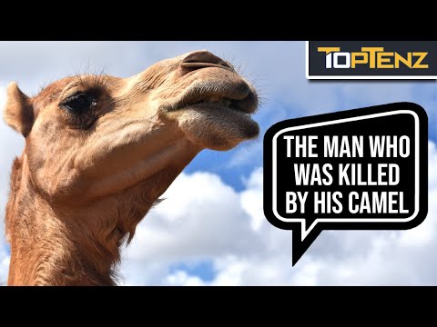 10 More Bizarre and Unusual Deaths From History