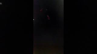 Palisades Through Hell Live