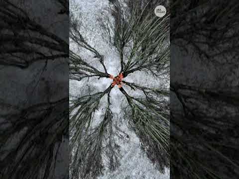 Winter storm drone footage shows frozen scenes from Texas to New York