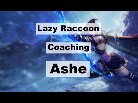 Coaching Silver 2 Ashe