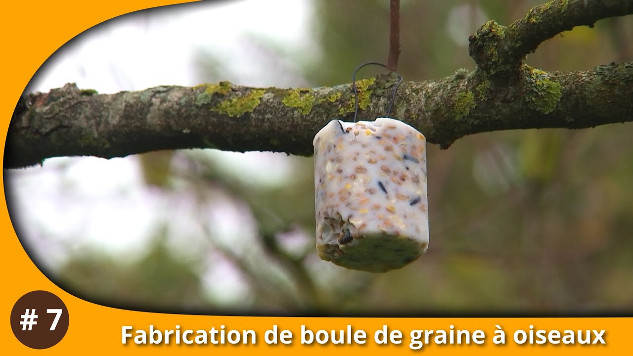 L'atelier du Jardin : Fabrication d'une boule de graine pour oiseaux