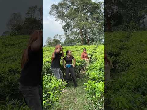 Hai 👋 Besty #shortvideo #comedy #nothingimposibleinthisworld #funny #lifeisbutadream #nature #short