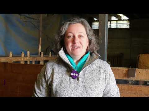 Ferme de Brette Vieille