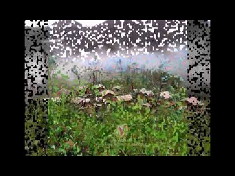 Enchimloh Ngaihzuali(1)