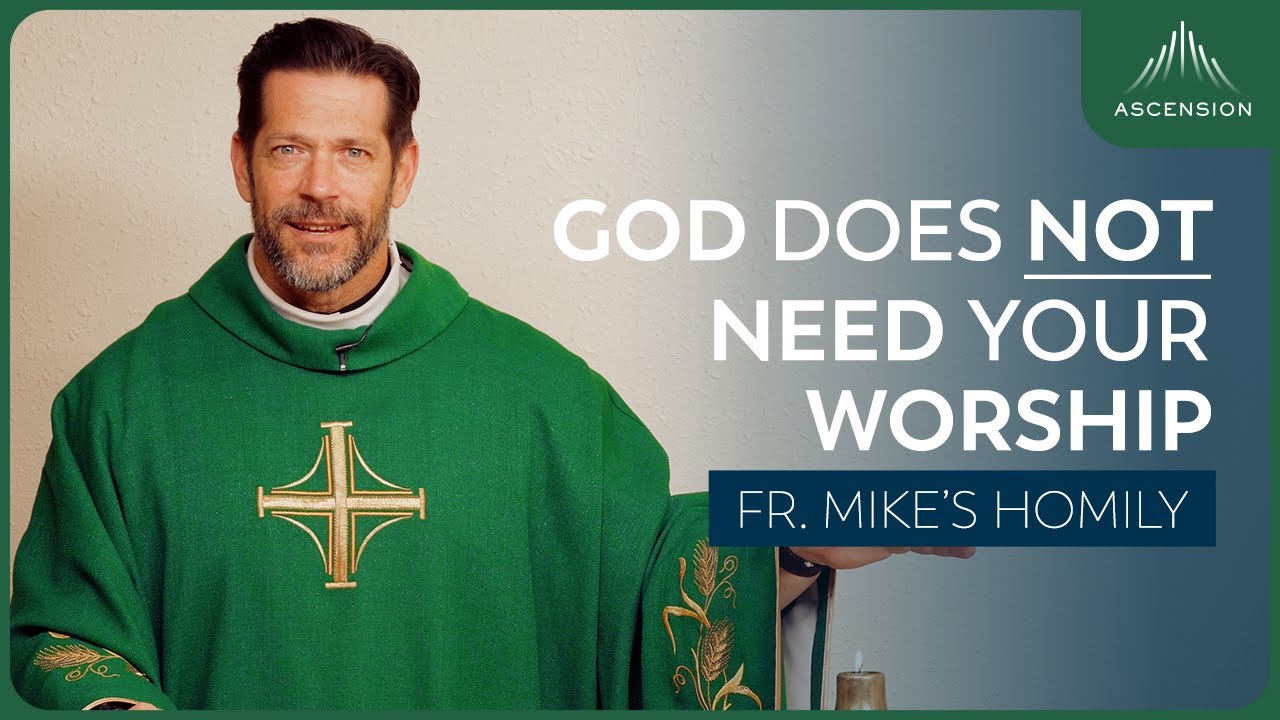 "Kingdom Sacrifice | 32nd Sunday in Ordinary Time (Fr. Mike's Homily) #sundayhomily