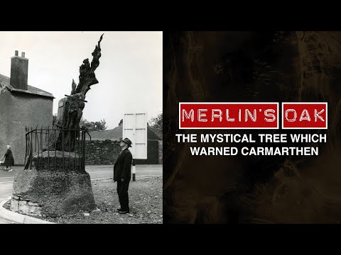 Melin's Oak: The Mystical Tree which Delivered a Sinister Promise to Carmarthen