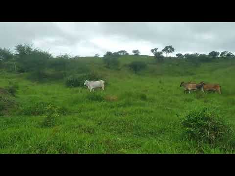 Mostrando belezas e riquezas de São José Esplanada Bahia