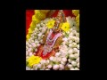 Muthumariamman Song