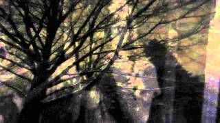 Rainforest Spiritual Enslavement - Complex Rituals To Control Anthurium