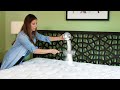 View 21 How To Clean Your Mattress