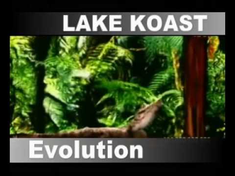 Lake Koast - Evolution