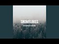 Snowflakes