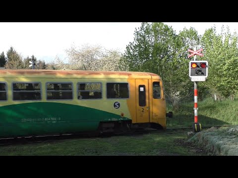 Železniční přejezd Plošná - Proseč #2 26.4. 2025 Czech railroad crossing