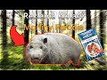 Reklama Kiełbasy Morliny Parodia