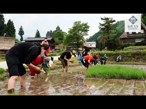 金沢大学 最新ニュースTOP３（2022/5/20～5/26）