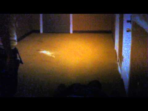 The Black Scarface - Trigga