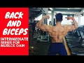Back and biceps workout | intermediate series for muscle gain | rahul fitness official