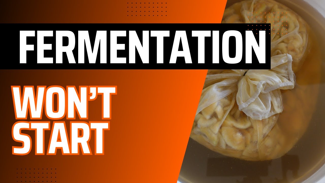 Dealing With A Fermentation That Won't Start