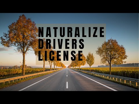 Part 1 - How to Naturalize Drivers License in Hungary | Driving in Hungary