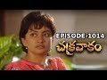 Episode 1014 Chakravakam Telugu Daily Serial Manjula Naidu Loud Speaker