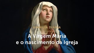 Homilia Diária | Ela nos gerou para a graça (Memória da Bem-aventurada Virgem Maria, Mãe da Igreja)