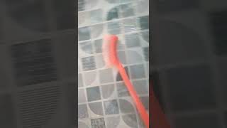 Download lagu gosek wc lanjut 💪 mp3 Download lagu gosek wc lanjut 💪 mp3