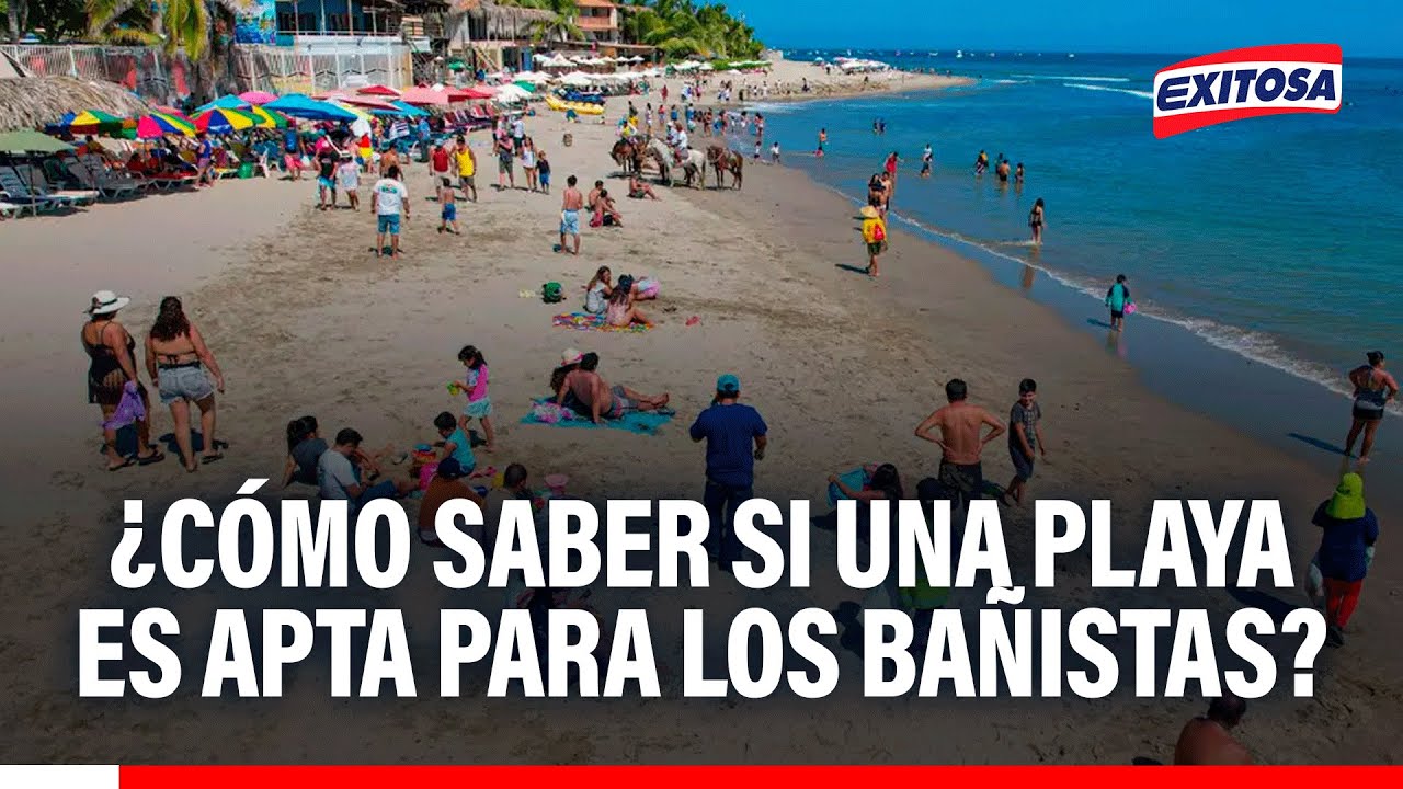 🔴🔵 Verano 2026: ¿Cómo saber si una playa es apta para los bañistas?