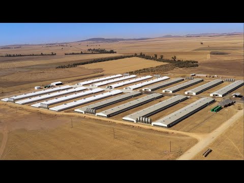 SKOV Combi-Tunnel system in South Africa