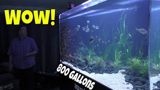 This 800 gallon Aquarium will Change the Way you Look at Monster Fish Tanks!