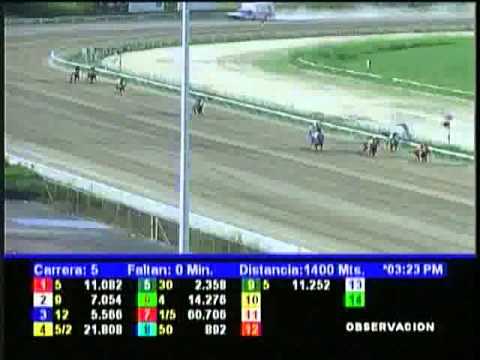 Resumen Sabado, 01 de Diciembre de 2012 - La Rinconada