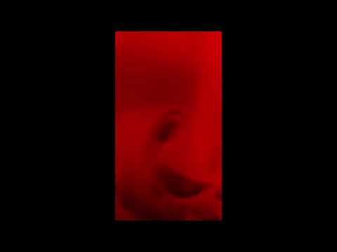 Mr horror toad scaring Makayla for trying her best to tell Jules be mine?