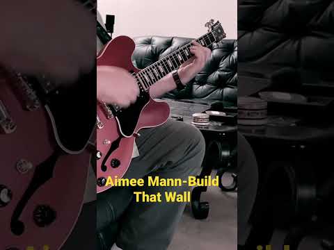 Build that wall - Aimee Mann
