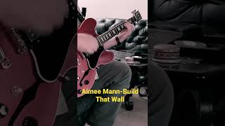 Aimee Mann-Build That Wall-guitar impressions #guitar #AimeeMann #BuildThatWall