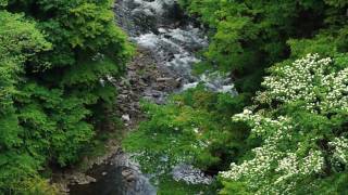 preview picture of video 'Okura River - Lumix DMC-GH1'