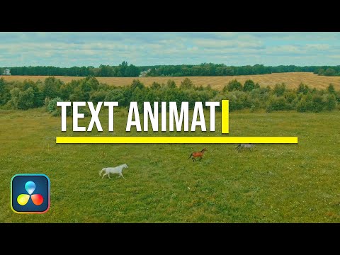 How to Add Text Animation In Davinci Resolve 17