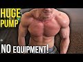 KILLER Home Chest Workout for MASS (No Equipment)