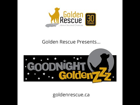 Goodnight Goldens - Tails of Rescue - Episode #8