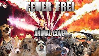 Rammstein -  Feuer Frei (Animal Cover)