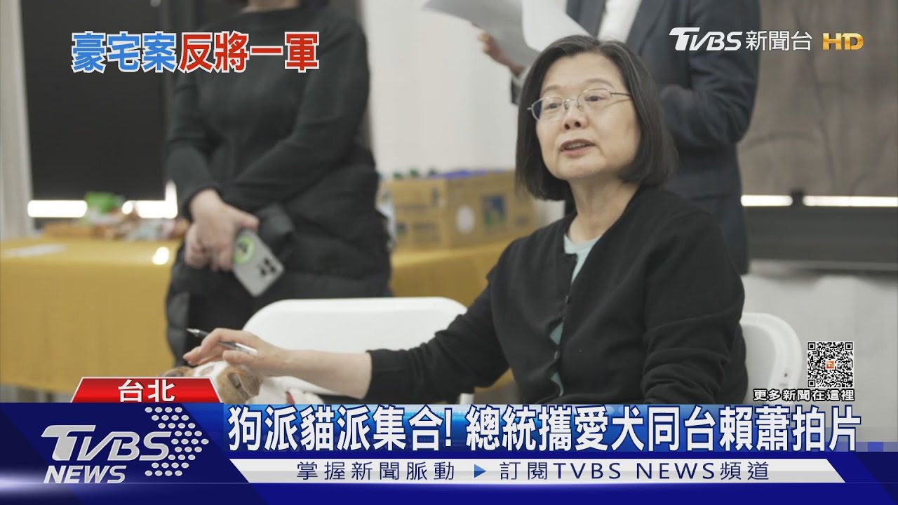 柯稱遵循總統外交路線　潘：挺賴清德就好