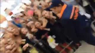 Luca Hänni & Christopher S