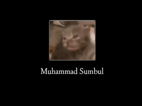 ...Khalid Kashmiri, Khidir Karawita, Ismail Ahmad Kanabawi, Usman Abdul Jalil Sisha, Muhammad Sumbul