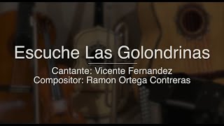 Escuche Las Golondrinas - Puro Mariachi Karaoke - Vicente Fernandez