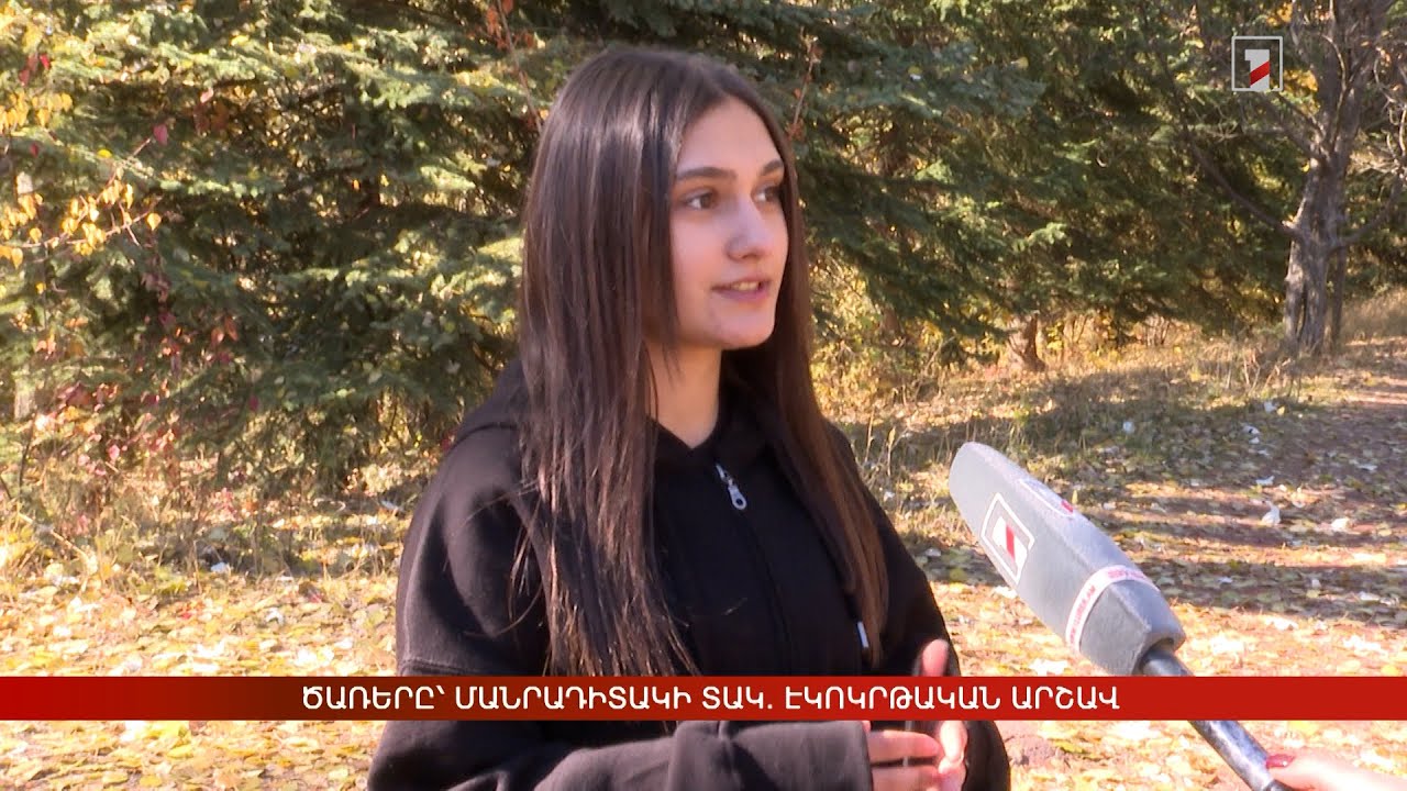 Ծառերը՝ մանրադիտակի տակ. էկոկրթական արշավ